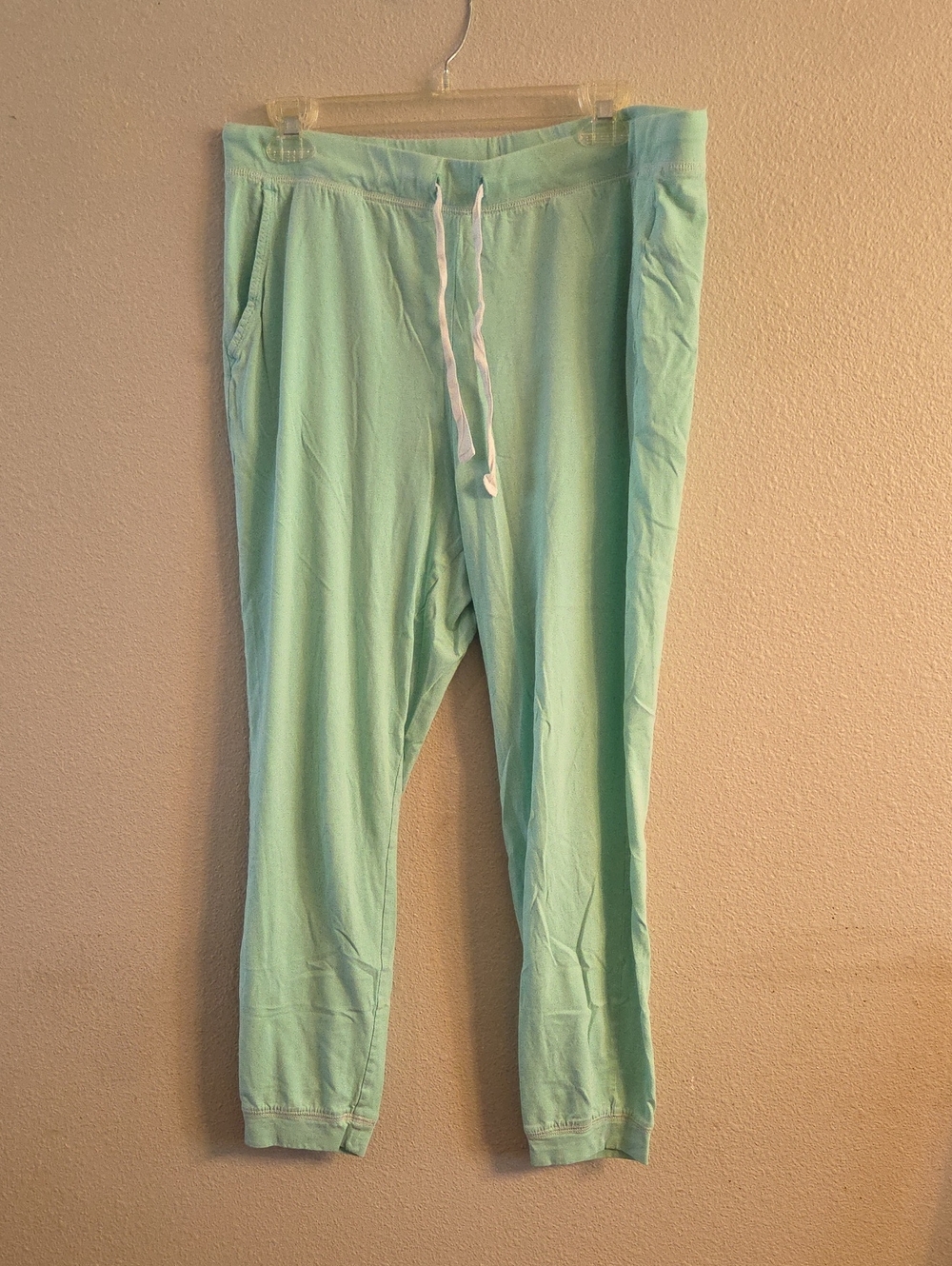 J. Crew Factory Soft Cotton Jersey Pajama Jogger Pants Turquoise Blue sz L